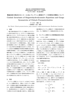 電磁流体方程式のカシミール元とクレブシュ表現のゲージ対称性の関係