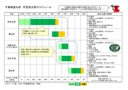 千葉県産ねぎ 作型別出荷スケジュール