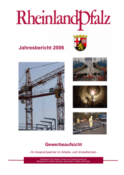 Jahresbericht 2006