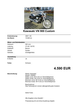 Detailansicht Kawasaki VN 900 Custom