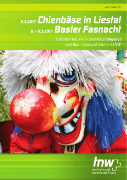 Fasnacht Fahrplan 2017 TNW