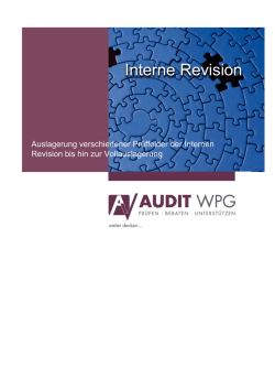 Interne Revision