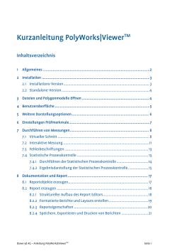 Kurzanleitung PolyWorks|ViewerTM - duwe-3d