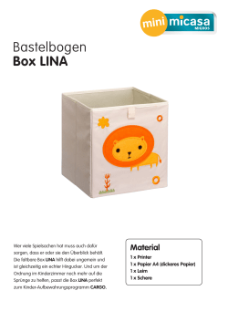 Bastelbogen Box LINA