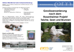 Gewässersanierung nach dem Rosenheimer - EM