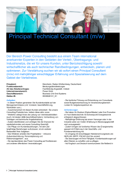 Principal Technical Consultant (m/w)