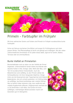 Herunterladen