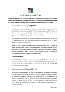 Ergänzende Bedingungen der Stadtwerke Wolfenbüttel zur NAV
