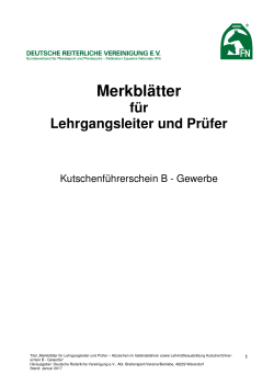 Merkblatt KFS B