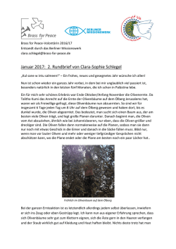 Januar 2017: 2. Rundbrief von Clara-Sophie