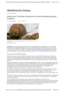Naturschutz: Die Biber-Schwemme im Kreis Wittenberg bereitet