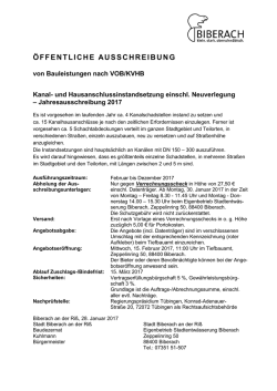Jahresausschreibung 2017 [PDF: 185 KB]