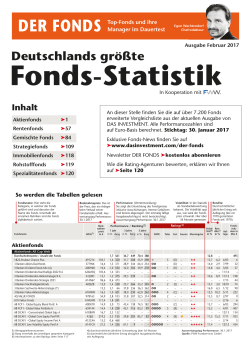 Fonds-Statistik - Das Investment