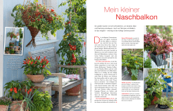 PDF-Date - Mein schöner Garten