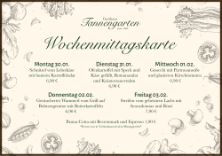 2017 - Gasthaus Tannengarten - Mittagskarte