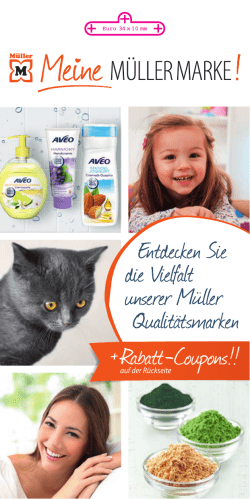 Pdf ansehen