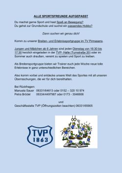 Informationsflyer PDF