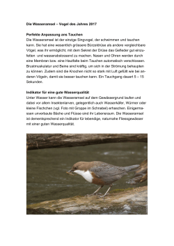 Die Wasseramsel – Vogel des Jahres 2017 Perfekte Anpassung ans