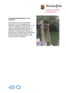 Fischbestandserfassungen in den Altrheinen