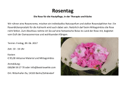 Rosentag - Beatrix Wehle