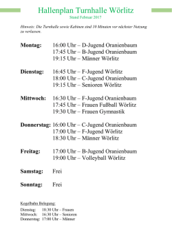 Hallenplan Turnhalle W&ouml;rlitz