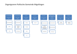Organigramm Politische Gemeinde Wigoltingen