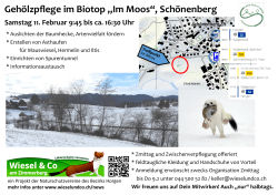 Gehölzpflege im Biotop „Im Moos“, Schönenberg
