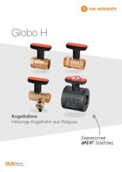 Globo H - IMI Hydronic Engineering