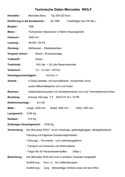 Technische Daten Mercedes WOLF