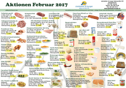 Monats Flyer Februar 2017