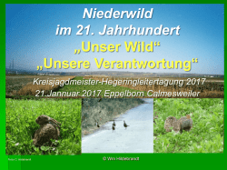 VJS 2017 Niederwild im 21 Jahrhundert PDF