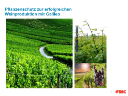 Pflanzenschutz zur erfolgreichen Weinproduktion mit Galileo
