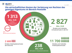 Die wirtschaftlichen Kosten der Verletzung von Rechten des