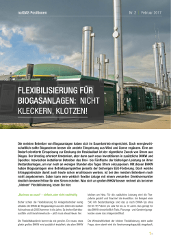 flexibilisierung für biogasanlagen: nicht kleckern, klotzen!