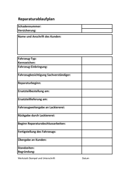 TR Muster Reparaturablaufplan