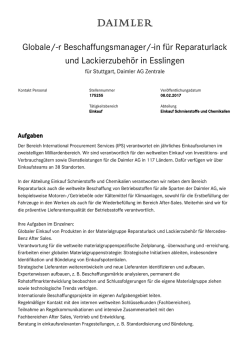 Globale/-r Beschaffungsmanager/-in f&uuml;r Reparaturlack und