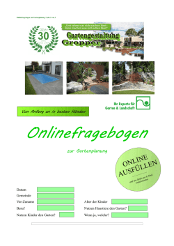 Onlinefragebogen - calc-info.de