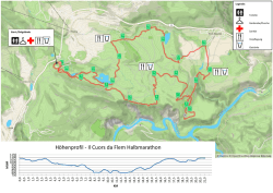 Höhenprofil - Il Cuors da Flem Halbmarathon