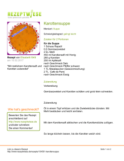 Druckversion
