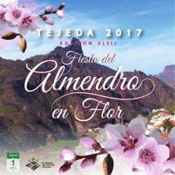 Programa Fiestas del Almendro 2017