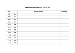 Halbfinalspiele Samstag, 18.02.2017