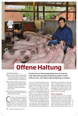 dlz-Bericht als PDF-Datei