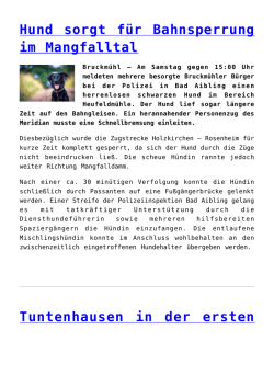 Hund sorgt f&uuml;r Bahnsperrung im Mangfalltal