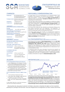 strategieportfolio 100 - Schiketanz Capital Advisors