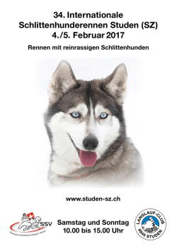 Festf&uuml;hrer 2017 als PDF zum runterladen
