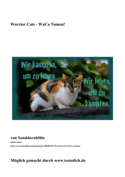 PDF: Ebook zur Geschichte