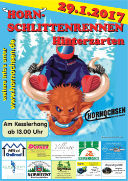 Horni plakat 2017 - Hornochsen Neustadt