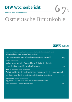 DIW Wochenbericht 6+7/2017 | PDF, 0.51 MB