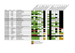 Terminplan