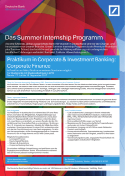 Das Summer Internship Programm